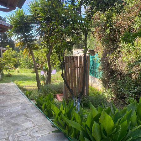 Paramonas  Casa Piccolinoヴィラ エクステリア 写真