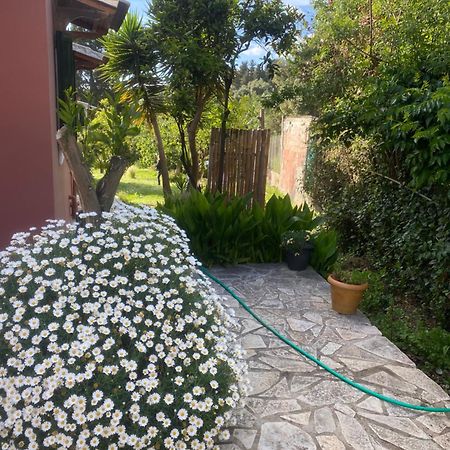 Paramonas  Casa Piccolinoヴィラ エクステリア 写真